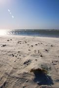 ../galleries/2019.04.23_Amrum_-_Tag_8/DSC_3154.thumbnail.jpg