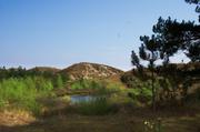 ../galleries/2019.04.24_Amrum_-_Tag_9/DSC_3256.thumbnail.jpg