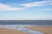 ../galleries/2019.04.25_Amrum_-_Tag_10/DSC_3307.thumbnail.jpg