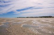 ../galleries/2019.04.25_Amrum_-_Tag_10/DSC_3319.thumbnail.jpg