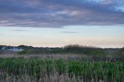 ../galleries/2019.04.25_Amrum_-_Tag_10/DSC_3357.thumbnail.jpg