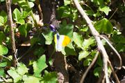 ../galleries/2019.05.01_Harzwanderung_von_Scharzfeld/DSC_1206.thumbnail.jpg