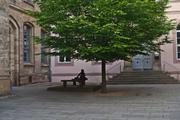 ../galleries/2019.05.31_Lichtenberg/DSC_1271.thumbnail.jpg