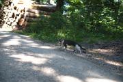 ../galleries/2019.07.10_Wandern_in_Biel_-_Tag_1/DSC_1468.thumbnail.jpg