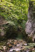 ../galleries/2019.07.11_Wandern_in_Biel_-_Tag_2/DSC_1508.thumbnail.jpg