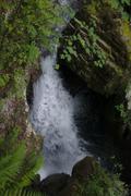 ../galleries/2019.07.11_Wandern_in_Biel_-_Tag_2/DSC_1526.thumbnail.jpg