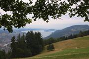 ../galleries/2019.07.11_Wandern_in_Biel_-_Tag_2/DSC_1538.thumbnail.jpg