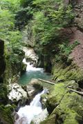 ../galleries/2019.07.11_Wandern_in_Biel_-_Tag_2/DSC_1556.thumbnail.jpg