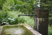 ../galleries/2019.07.12_Wandern_in_Biel_-_Tag_3/DSC_1583.thumbnail.jpg