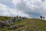 ../galleries/2019.07.12_Wandern_in_Biel_-_Tag_3/DSC_1662.thumbnail.jpg