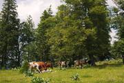 ../galleries/2019.07.12_Wandern_in_Biel_-_Tag_3/DSC_1681.thumbnail.jpg