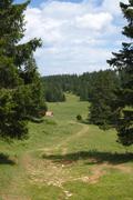 ../galleries/2019.07.12_Wandern_in_Biel_-_Tag_3/DSC_1683.thumbnail.jpg