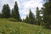 ../galleries/2019.07.12_Wandern_in_Biel_-_Tag_3/DSC_1684.thumbnail.jpg
