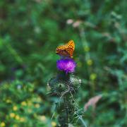 ../galleries/2019.07.13_Wandern_in_Biel_-_Tag_4/DSC_1756.thumbnail.jpg