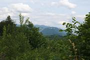 ../galleries/2019.07.13_Wandern_in_Biel_-_Tag_4/DSC_1768.thumbnail.jpg