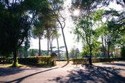 ../galleries/2019.07.24_Rom_-_Tag_2/DSC_3767.thumbnail.jpg