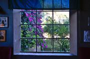 ../galleries/2019.07.24_Rom_-_Tag_2/DSC_3775.thumbnail.jpg