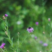 ../galleries/2019.08.05_Nikolausberg/DSC_1924.thumbnail.jpg