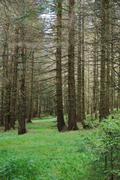 ../galleries/2019.08.17_Wanderung_St._Andreasberg_Harz/DSC_2023.thumbnail.jpg