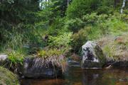 ../galleries/2019.08.17_Wanderung_St._Andreasberg_Harz/DSC_2056.thumbnail.jpg