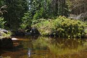 ../galleries/2019.08.17_Wanderung_St._Andreasberg_Harz/DSC_2068.thumbnail.jpg