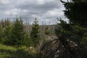 ../galleries/2019.08.17_Wanderung_St._Andreasberg_Harz/DSC_2070.thumbnail.jpg