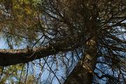 ../galleries/2019.08.17_Wanderung_St._Andreasberg_Harz/DSC_2086.thumbnail.jpg