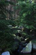 ../galleries/2019.08.17_Wanderung_St._Andreasberg_Harz/DSC_2092.thumbnail.jpg