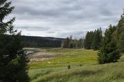 ../galleries/2019.08.17_Wanderung_St._Andreasberg_Harz/DSC_2109.thumbnail.jpg