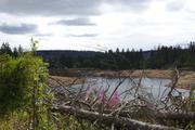 ../galleries/2019.08.17_Wanderung_St._Andreasberg_Harz/DSC_2110.thumbnail.jpg