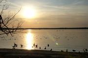 ../galleries/2019.08.23_Müritz_-_Tag_1/DSC_4002.thumbnail.jpg