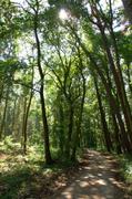 ../galleries/2019.08.24_Müritz_-_Tag_2/DSC_4049.thumbnail.jpg
