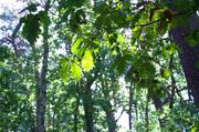 ../galleries/2019.08.24_Müritz_-_Tag_2/DSC_4063.thumbnail.jpg