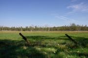 ../galleries/2019.08.24_Müritz_-_Tag_2/DSC_4071.thumbnail.jpg