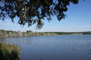 ../galleries/2019.08.24_Müritz_-_Tag_2/DSC_4081.thumbnail.jpg