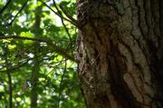 ../galleries/2019.08.24_Müritz_-_Tag_2/DSC_4090.thumbnail.jpg
