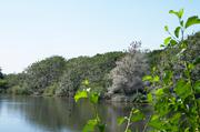 ../galleries/2019.08.24_Müritz_-_Tag_2/DSC_4094.thumbnail.jpg