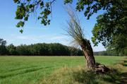 ../galleries/2019.08.24_Müritz_-_Tag_2/DSC_4096.thumbnail.jpg