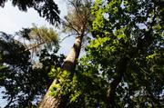 ../galleries/2019.08.24_Müritz_-_Tag_2/DSC_4099.thumbnail.jpg