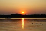 ../galleries/2019.08.25_Müritz_-_Tag_3/DSC_4135.thumbnail.jpg