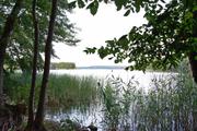 ../galleries/2019.08.27_Müritz_-_Tag_5/DSC_4202.thumbnail.jpg