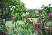 ../galleries/2019.08.28_Müritz_-_Tag_6/DSC_4216.thumbnail.jpg
