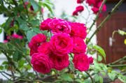 ../galleries/2019.08.28_Müritz_-_Tag_6/DSC_4226.thumbnail.jpg