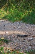 ../galleries/2019.08.29_Müritz_-_Tag_7/DSC_4245.thumbnail.jpg