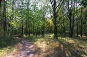 ../galleries/2019.08.29_Müritz_-_Tag_7/DSC_4246.thumbnail.jpg