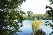 ../galleries/2019.08.29_Müritz_-_Tag_7/DSC_4258.thumbnail.jpg