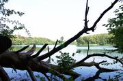 ../galleries/2019.08.29_Müritz_-_Tag_7/DSC_4259.thumbnail.jpg