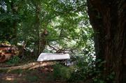 ../galleries/2019.08.29_Müritz_-_Tag_7/DSC_4276.thumbnail.jpg