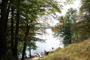 ../galleries/2019.08.29_Müritz_-_Tag_7/DSC_4283.thumbnail.jpg