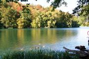 ../galleries/2019.08.29_Müritz_-_Tag_7/DSC_4316.thumbnail.jpg